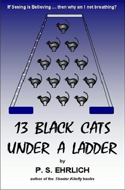 13 Black Cats Under a Ladder cover
