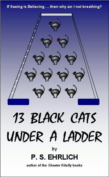 13 Black Cats Under a Ladder cover